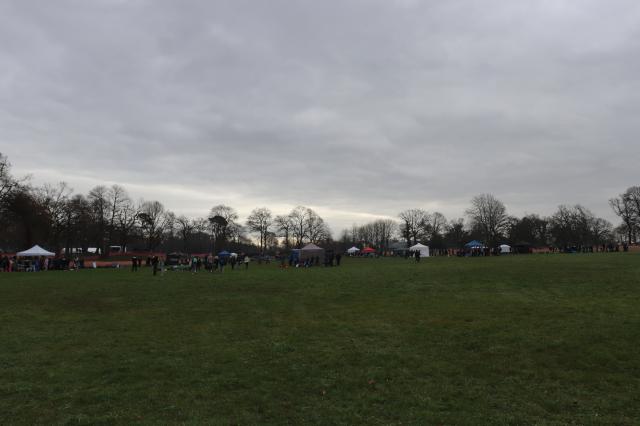 CROSS REGIONAL