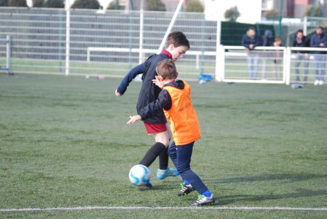 Tournoi inter-catégorie