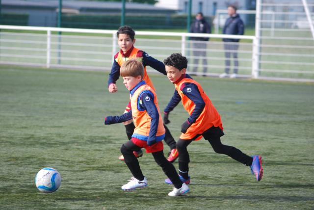 Tournoi inter-catégorie